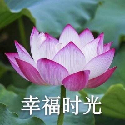 凡人洪荒世界内购破解版下载